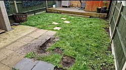 BEFORE ARTIFICIAL LAWN